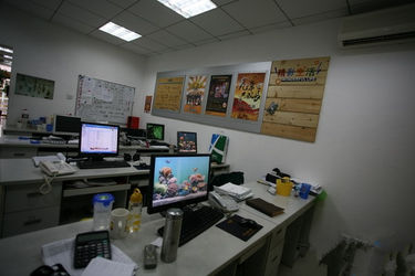 中国 Caiye Printing Equipment Co., LTD